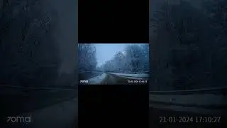 собака напала на машину, а потом побежала на перегонки с нереальной скоростью.