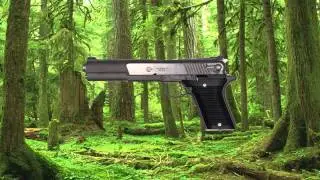 Gun Fire Test Sony Vegas