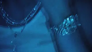 LITHE TYPE BEAT - 
