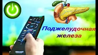Поджелудочная железа -это пульт управления здоровьем в руках Бога. Евгений Агафонов и жизненный опыт