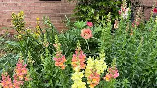 April 2024 Garden Tour