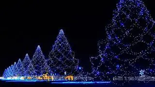 Silent Night (Vocal cover by Aria Rose)