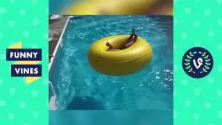 Top WATER SLIDE Fails Compilation | Funny Vines