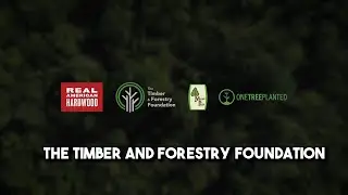 The Lifecycle of Hardwood