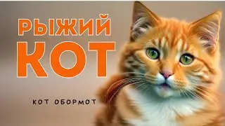 РЫЖИЙ КОТ | РЫЖАЯ КОШКА - веселая песня для детей и взрослых (Виталий Осипов)
