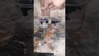 real or fake experiment #shorts