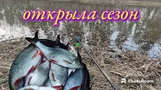 "Открыла сезон рыбалки. Наслаждаюсь природой."