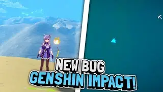 new glitch/bug genshin impact, which is rarely known