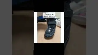 #обувьдлясобак