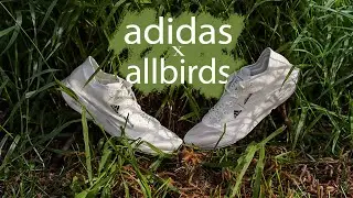 adidas X allbirds