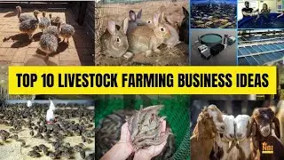 Top 10 Livestock Farming Business Ideas || Animal Farming Business Ideas