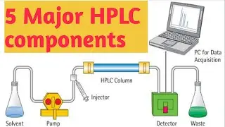 5 MAJOR HPLC COMPONENTS AND THEIR FUNCTIONS