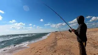 🎣Ловля пеленгаса и кефали на Азовском море  2021.Fishing for pelengas and mullet in the sea 