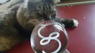 [ Practice ] Фита. Распаковка. Лазерная засветка.