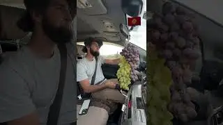 Фазенда в тренде /Жалал-Абад виноград😉