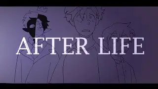 After LIFE    [Dream SMP]