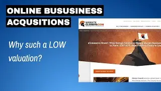 400k/yr 2x Ecom Business For Sale at 2x Multiple - Is it a deal?