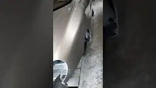 ЗАЗ Сенс под лаком