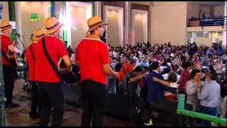 El Pajaro Macua   Grupo Los Milindrinos