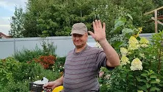 Разновидность капельного полива. Готовимся к следующему посевному сезону.