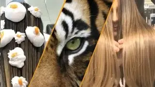 🐯 Eye Tiger Hair Coloring by @mounirsalon 🐯