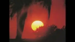 Vol. 31 (Synthwave/Chillwave/Retrowave Mix)