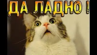 ✅ПОПАЛ НА БАЗУ ЧИТЕРА - НЕЛЬЗАЯ ЗАРЕЙДИТЬ !!!✅ LDOE
