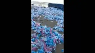 Содержимое контейнера высыпалось на пляж Далила в Ашкелоне