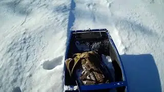 Весело гоняю на мотособаке в лесных дебрях по крепкому насту