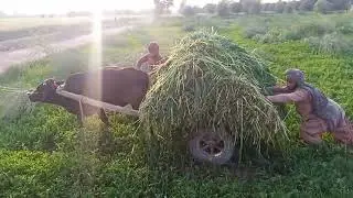 village video