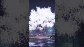 Mysterious forest that seems to be seen in a dream #relax #watersounds #sleep  #asmr #cool