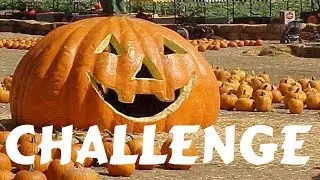 Whistle Thicket's: Great Pumpkin Challenge!