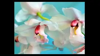К дню учителя!