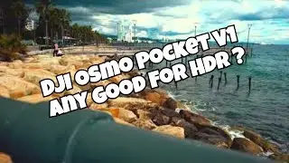 Is the DJI Osmo Pocket V1 the BEST Camera For HDR Colors?