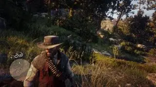 Red Dead Redemption 2_2024