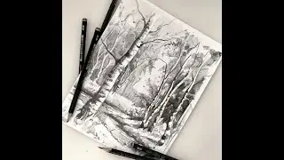 Рисуем лесной пейзаж!