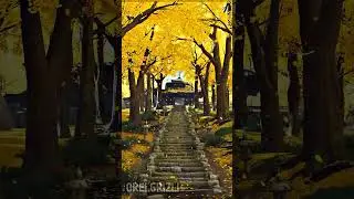 КРАСОТЫ GHOST OF TSUSHIMA EDIT ➤ #shorts