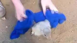 Улетный прикол