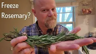 Can You Freeze Rosemary?