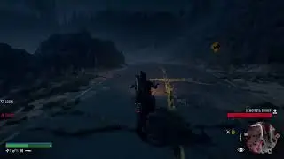 Days Gone