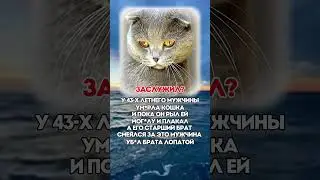 ЗАСЛУЖИЛ?  #политика #новости