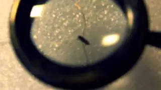 The Acting Bug - Teaser
