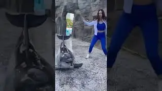 танец с дельфином