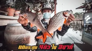 ตกกระสูบ 4 ตัวใน 3นาที....ที่นี่ดำเนิน!!