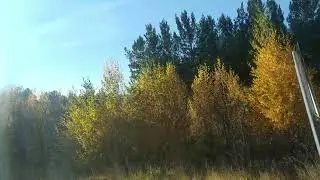 ПОХОЖДЕНИЯ СТАРОСТИ.  МОИ СТИХИ.