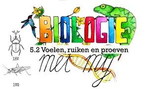 1HVG - 5.2 Voelen, ruiken en proeven