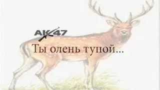 AK 47 - Ты олень тупой