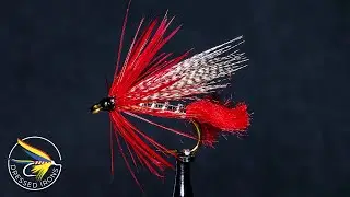 Remnant Fly #18 - Freestyle Wet Fly (again) - Dressed Irons