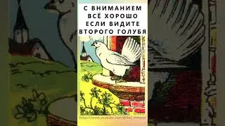 Найдёте на картинке второго голубя? #тестнавнимательность