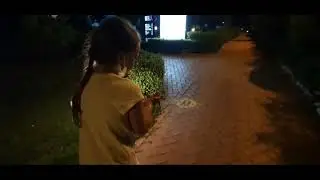 Нашла улитку прямо на дороге